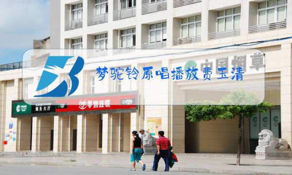 梦驼铃原唱播放费玉清 爱奇艺图片